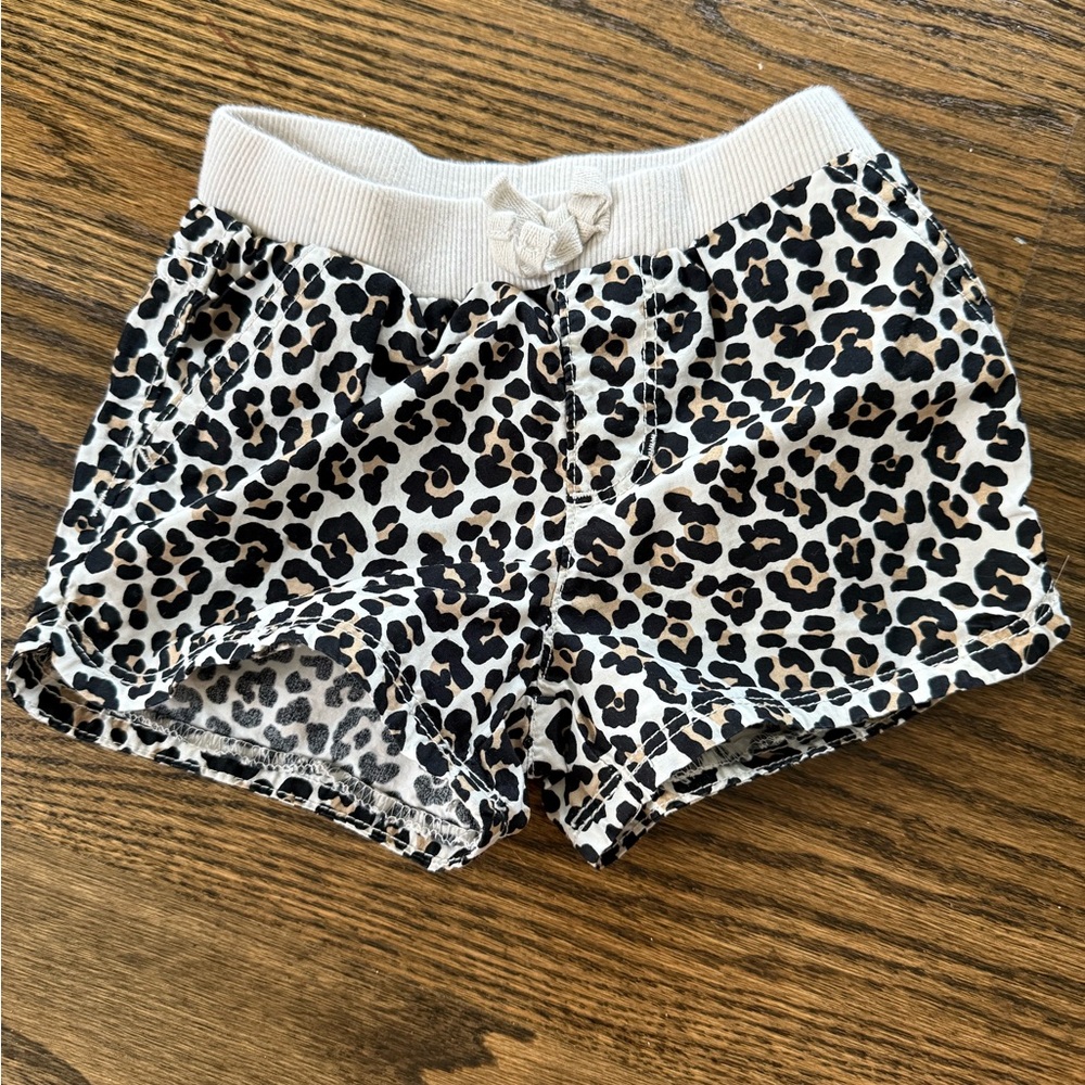 Adorable 3t Little Girl Leopard Shorts